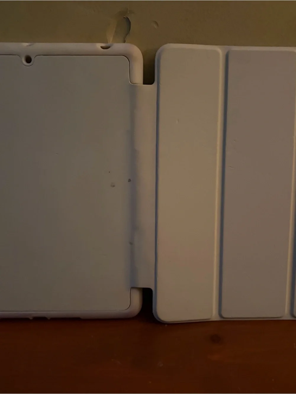 Apple iPad Mini Black with Colorful Display